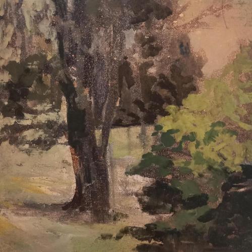 Alberi