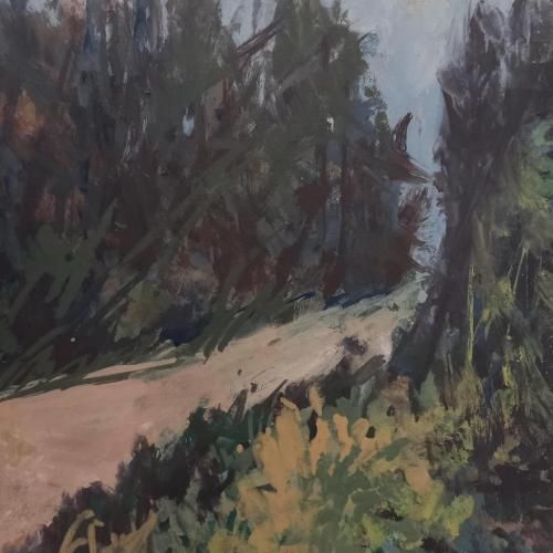 Il sentiero nel bosco